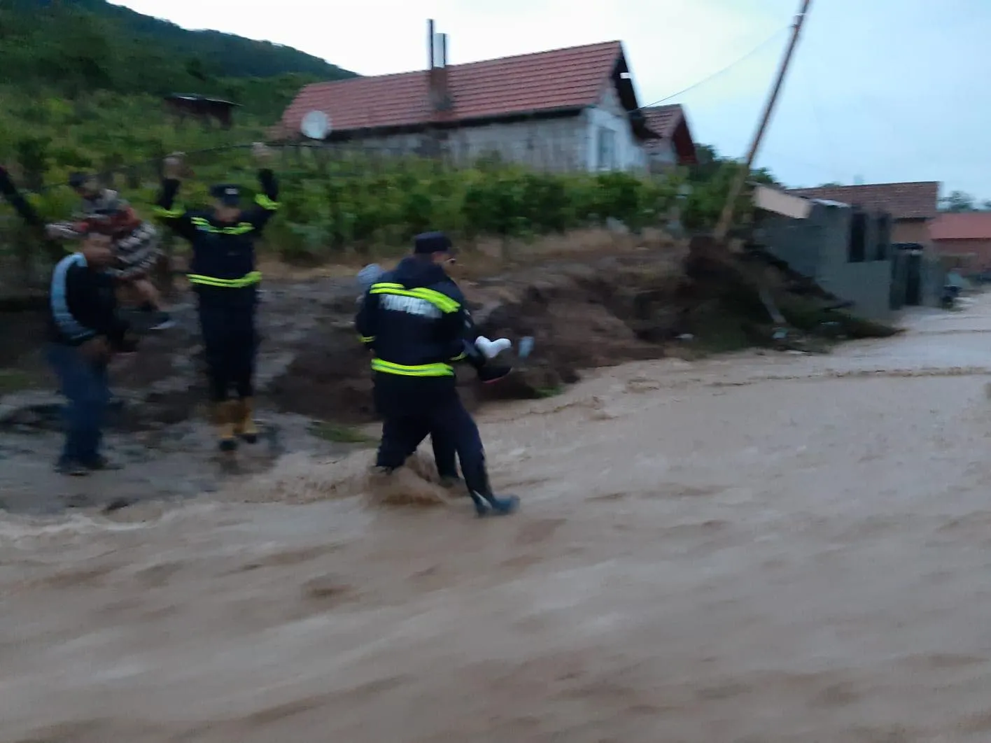 Vremea rea face RAVAGII: copaci doborâți și inundații. Cod portocaliu de ploi și vijelii în jumătate de țară