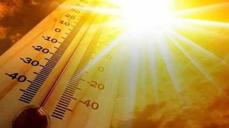 Ce trebuie să faci în zilele toride de vară. Este VITAL! Recomandările specialiștilor 