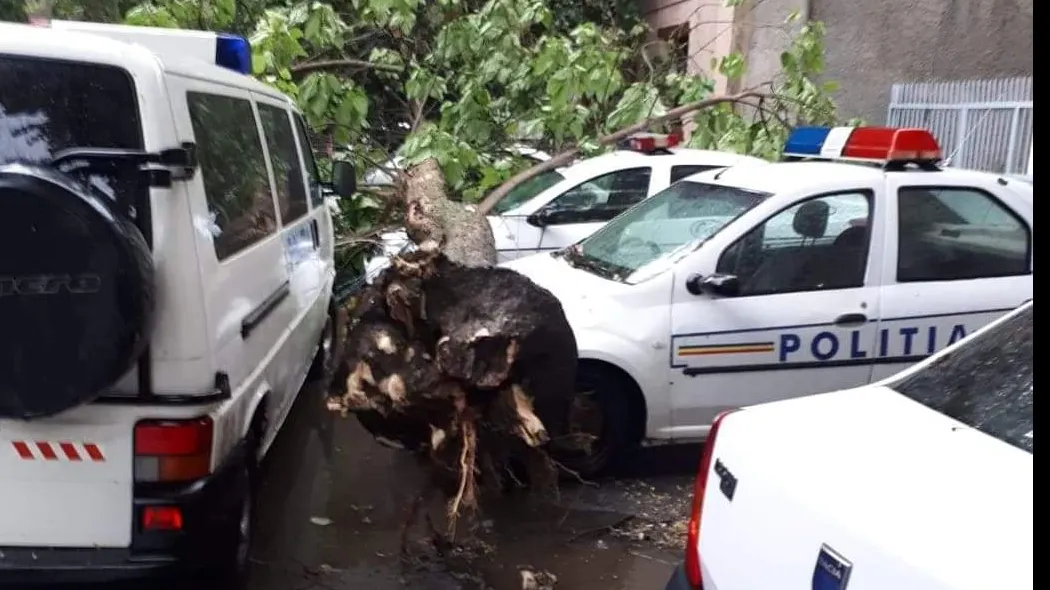 Mașini de poliție distruse de vremea extremă, la Brăila