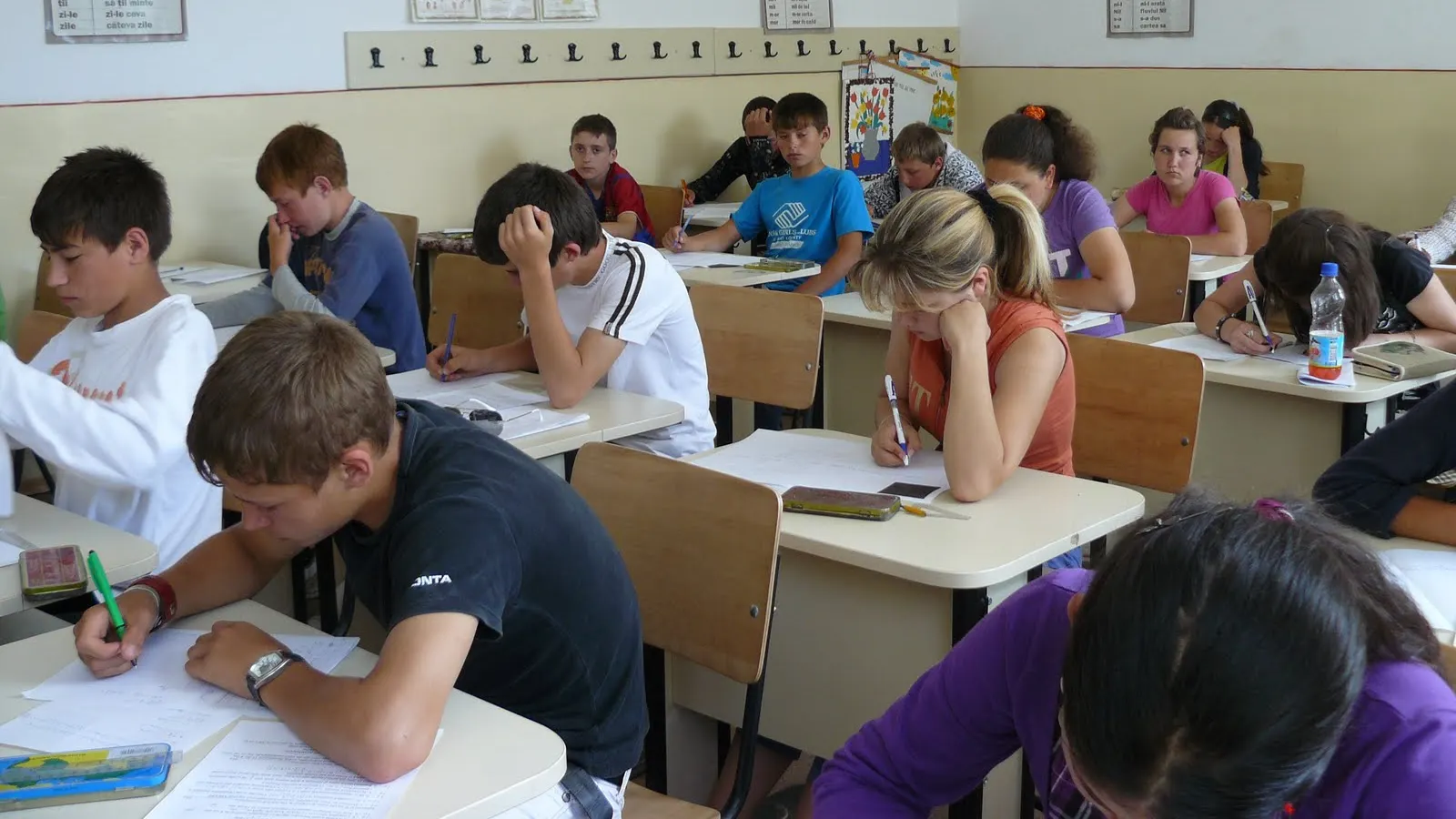 Evaluarea Nationala - Subiecte la Romana complete