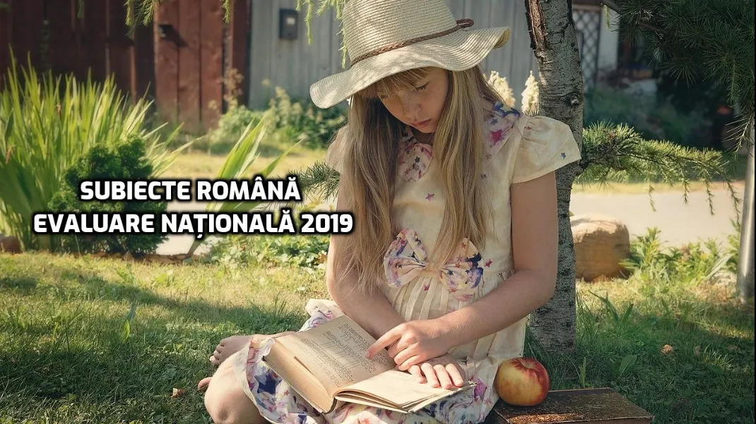 Subiecte română Evaluare Națională 2019 - Momentul zero a venit! Noaptea marilor dileme