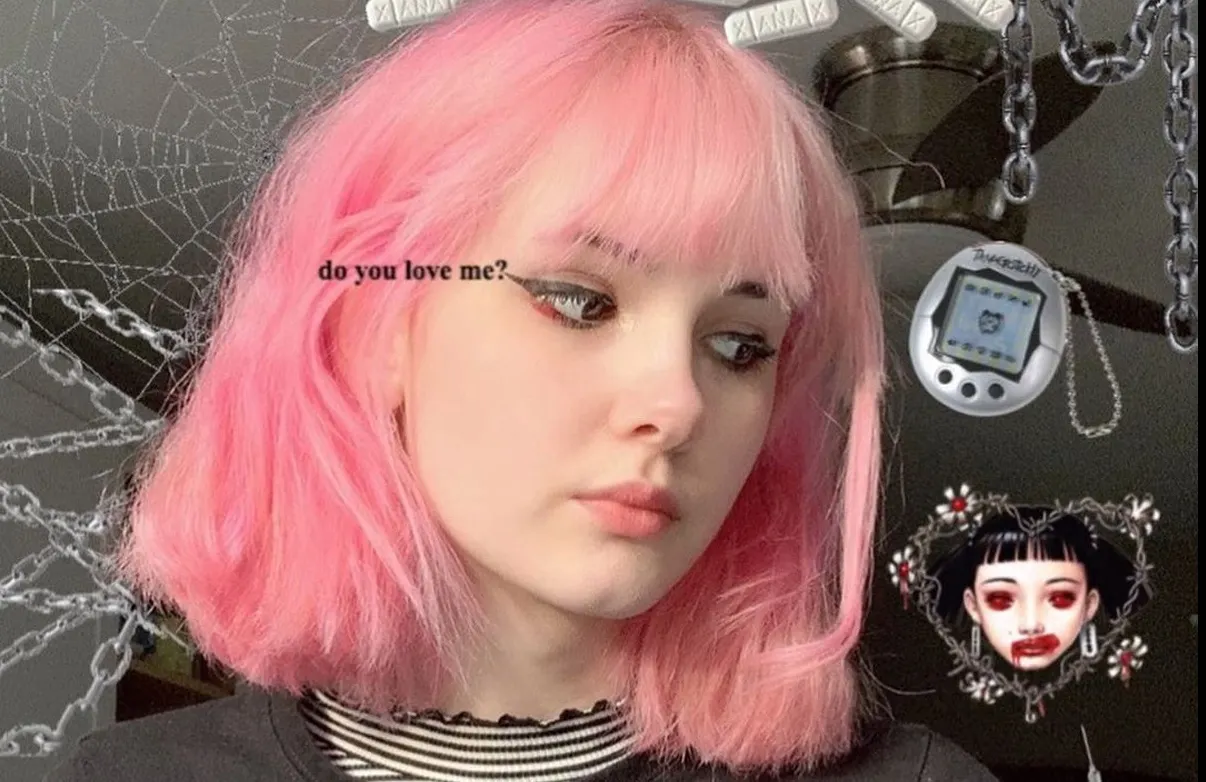 Poze însângerate pe Instagram. Vedeta "egirl" de 17 ani, măcelărită de un obsedat 
