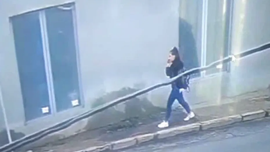 Ultimele imagini filmate cu Luiza Melencu. Ce făcea, înainte să fie ucisă