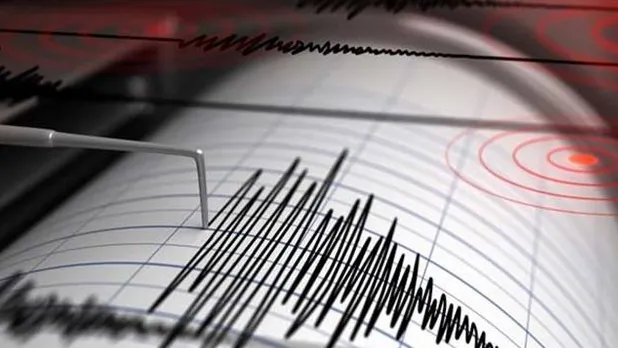 Cutremur de 3,1 grade în Vrancea, vineri dimineața