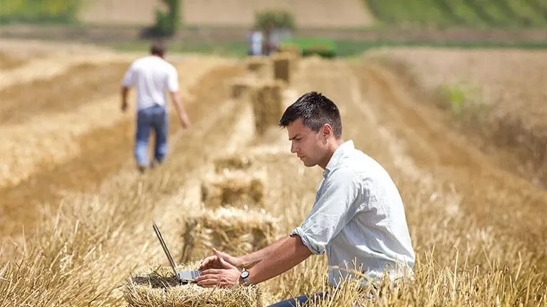 Mai multe organizații neguvernamentale derulează programe de promovare a liceelor agricole