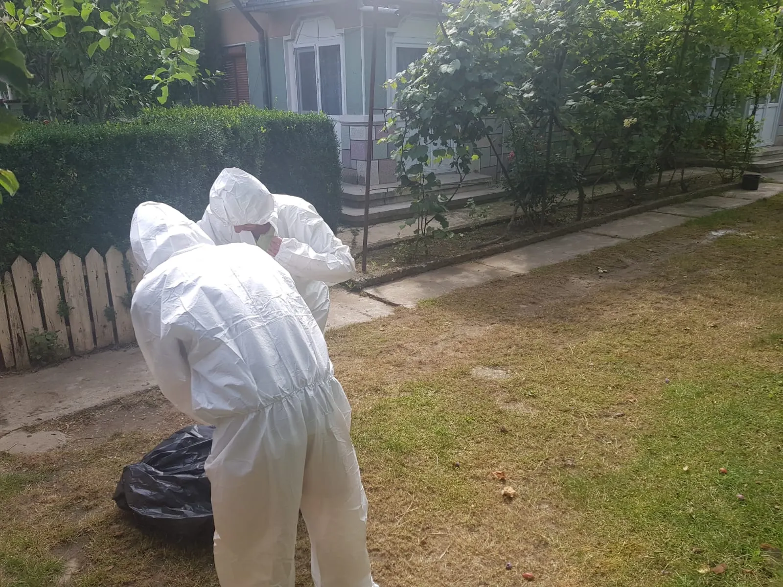 Pesta porcină face ravagii în județul Prahova! Noi cazuri confirmate
