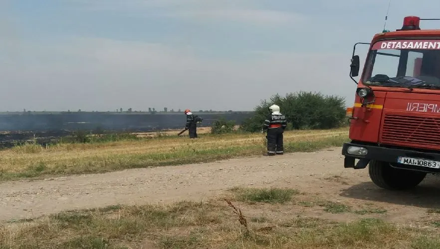 Incendiu la porțile Timișoarei. Zeci de hectare de vegetatie, în flăcări