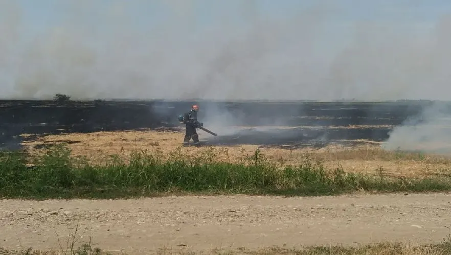Intervenție pompieri incendiu de vegetație - imagine de arhivă