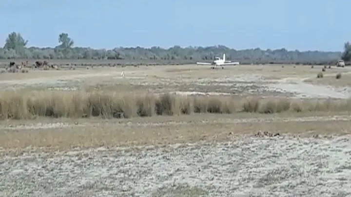 Imagini incredibile: Aerodrom ilegal improvizat pe o pășune, în Delta Dunării. Ce spun autoritățile