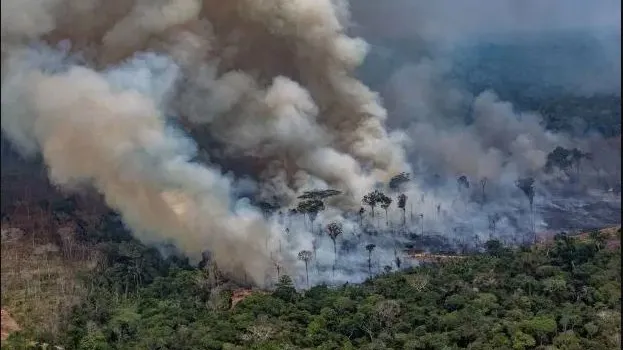 Brazilia refuză cei $20 de milioane oferiți de G7 pentru stingerea incendiilor din Amazon