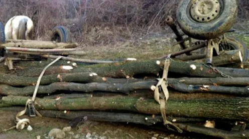 Tragedie la Mihăești. A murit după ce au căzut lemnele dintr-o căruță peste el