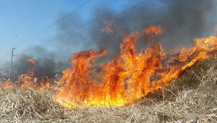 Incendiu puternic, pe drumul spre mare. Traficul este afectat