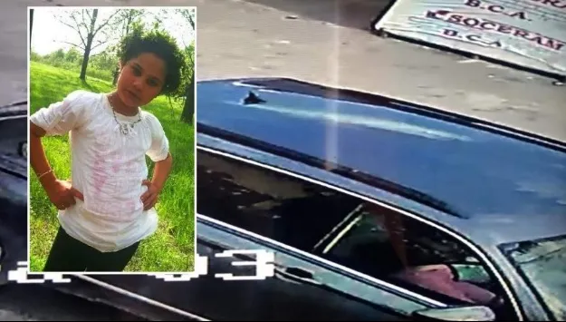 Șeful Poliției Române, despre fetița de 11 ani ucisă: "Ancheta continuă"