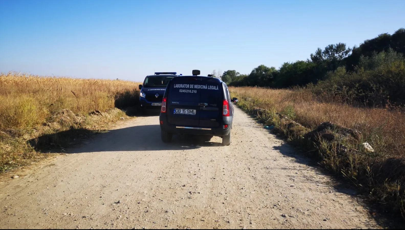 Ipoteză șoc în cazul fetei de 11 ani găsită moartă: „A fost răpită de cei care fac trafic de organe”