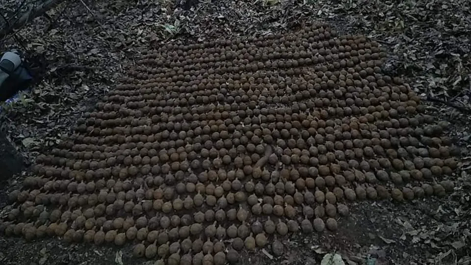 Peste 1.000 de grenade neexplodate din Primul Război Mondial, descoperite în Vrancea!