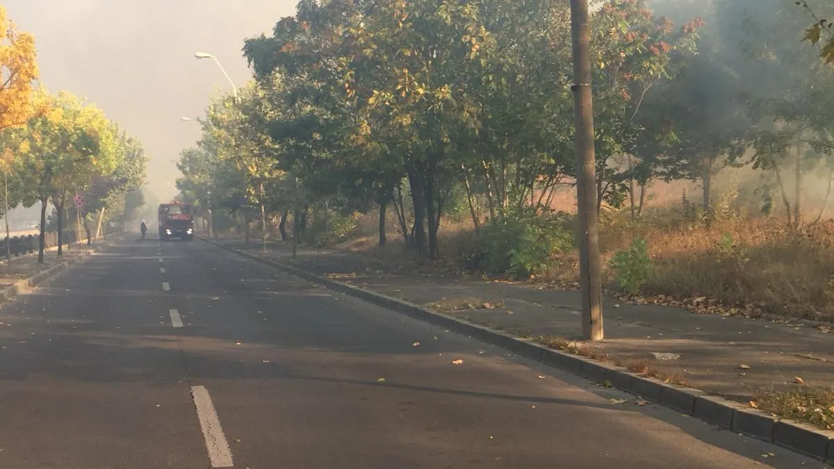 Incendiu de vegetație, pe Splaiul Unirii. Intervenție de amploare a pompierilor 
