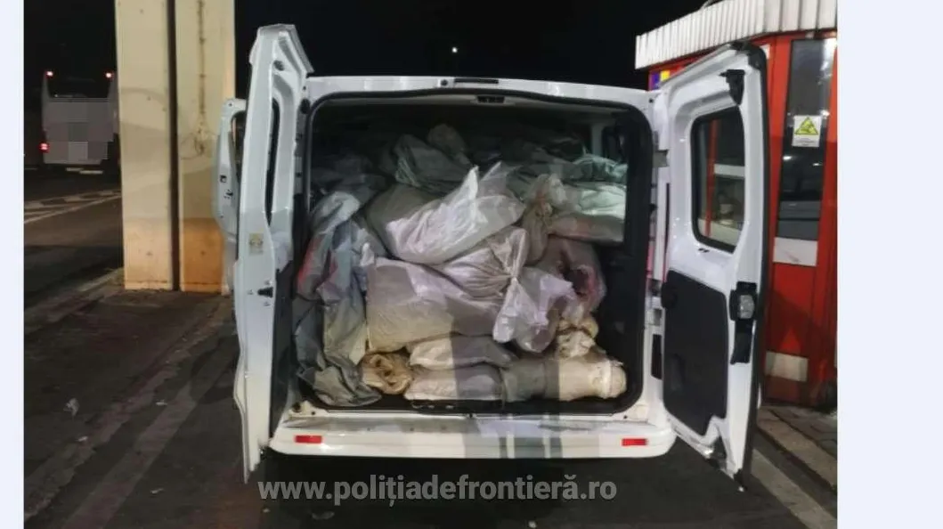 Aproape o tonă de cannabis, capturată la Giurgiu
