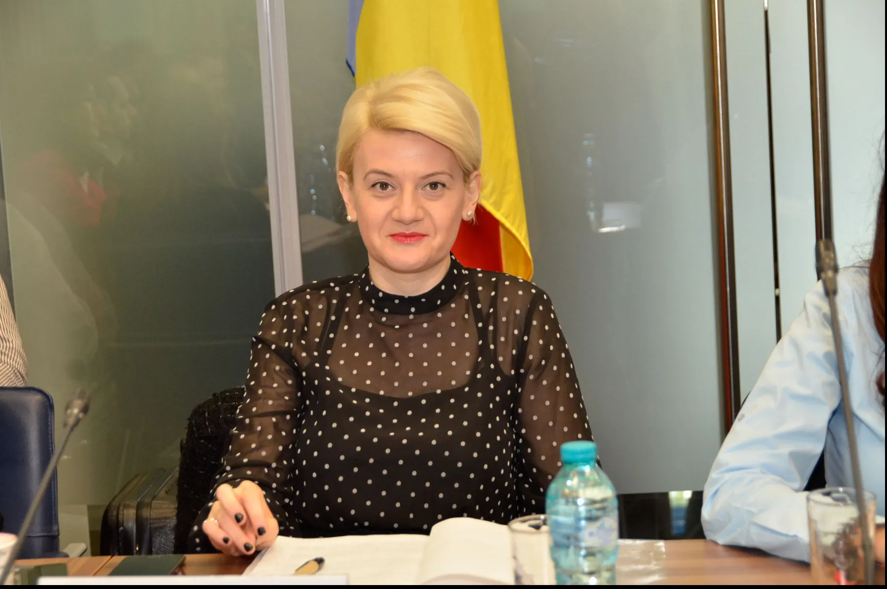 Cine este Gabriela Ciot, rezerva lui Dan Nica pentru propunerea de comisar european?