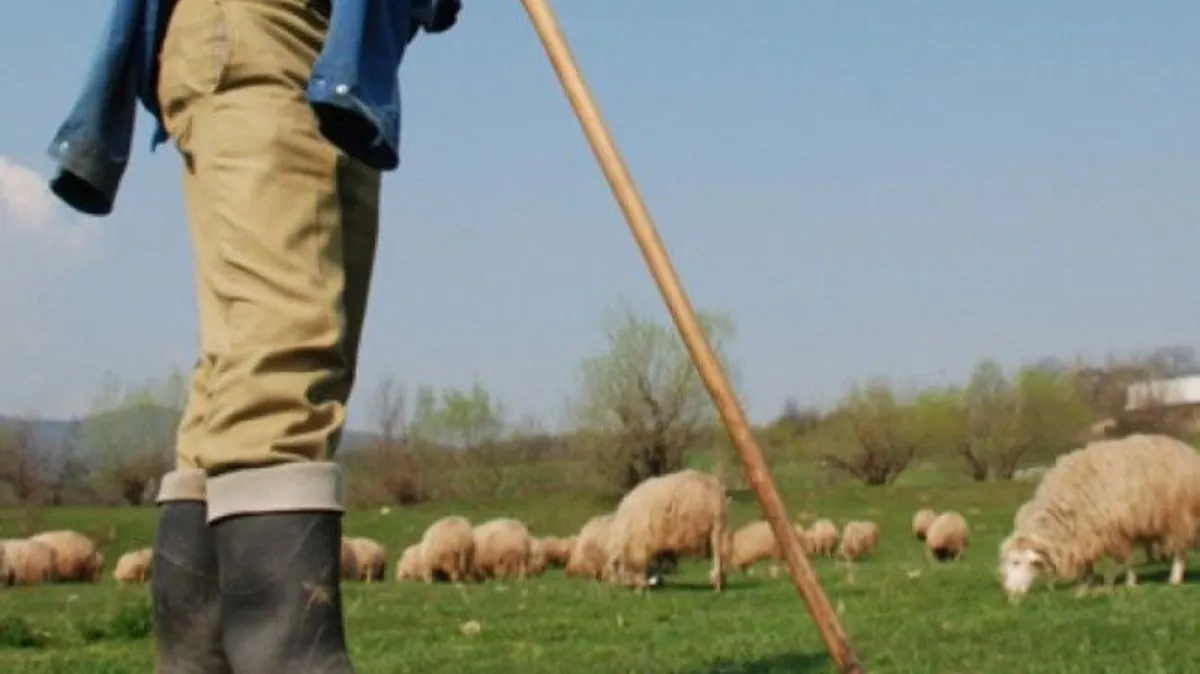 Crimă înfiorătoare la o stână din Olt! Un cioban și-a ucis iubita într-un mod cumplit