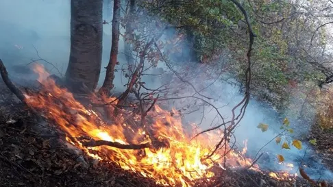 Un nou INCENDIU amenință pădurile din jud. Alba. MApN intervine cu un avion SPARTAN