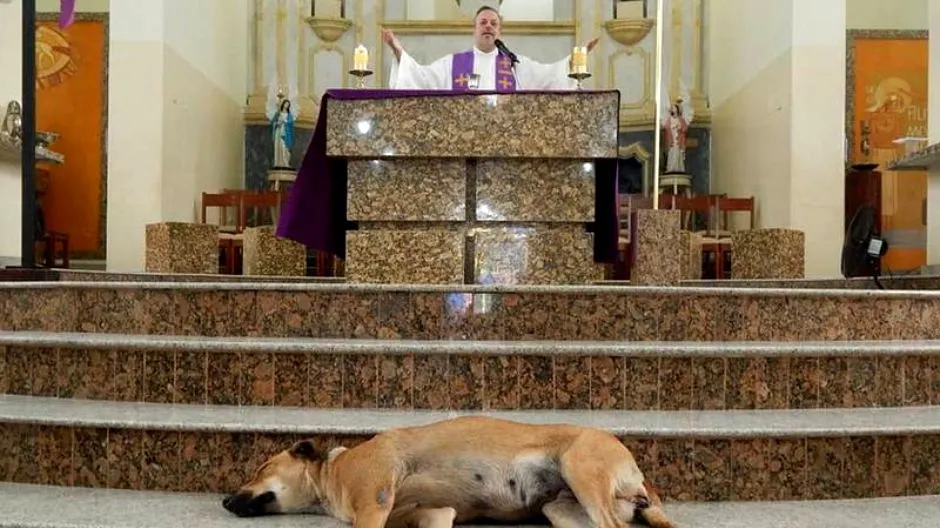 O biserică e deschisă non-stop pentru patrupede. Ce se întâmplă la slujbele de duminică