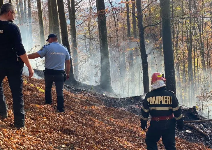 Arde pădurea la Sinaia! FOTO-VIDEO