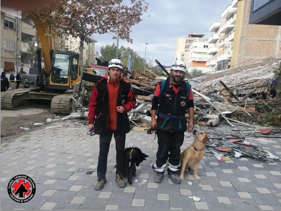 Câinii salvatori din România caută victimele cutremurului din Albania