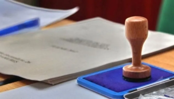 Deputata USR, reclamată la BEJ pentru că şi-a fotografiat buletinul de vot