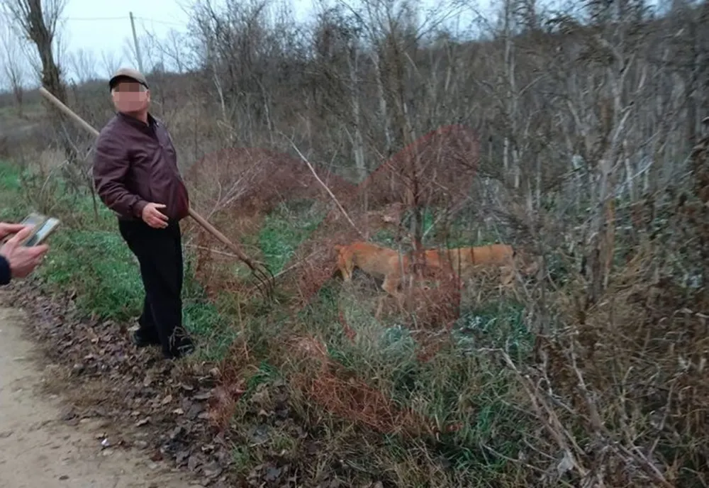 VIDEO Un bârlădean filmat cu o furcă în mână și cu doi câini care „rupeau” un maidanez