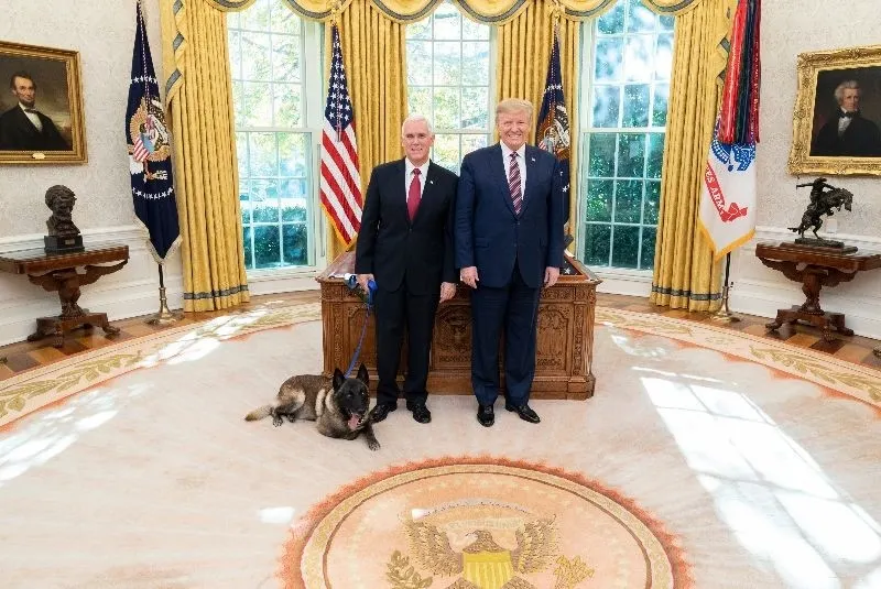 Conan, „câinele erou” al armatei SUA, decorat la Casa Albă