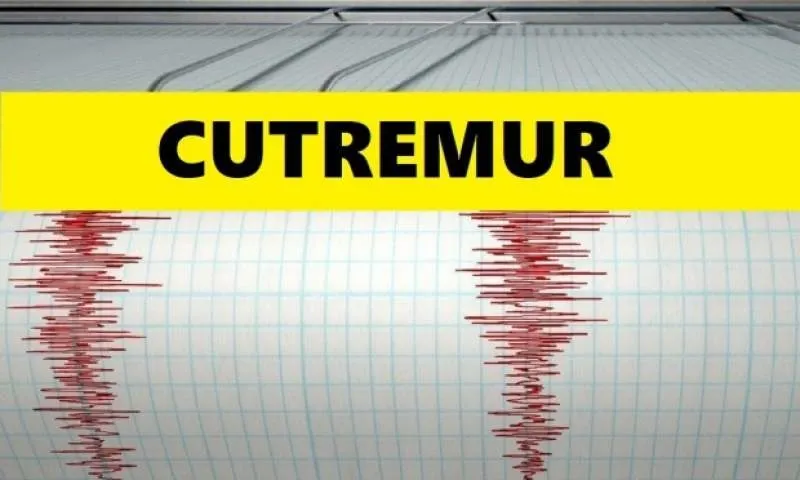 Cutremur în Vrancea