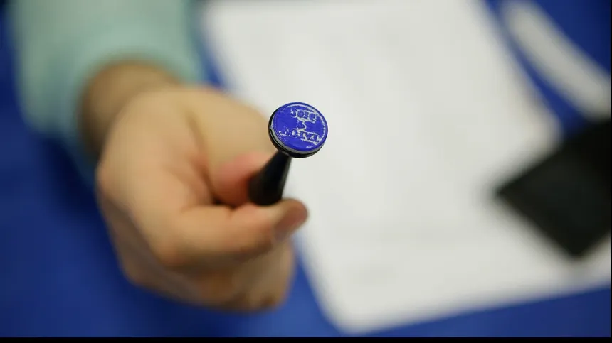 Cât costă alegerile prezidențiale 2019! "Sunt cele mai scumpe alegeri"