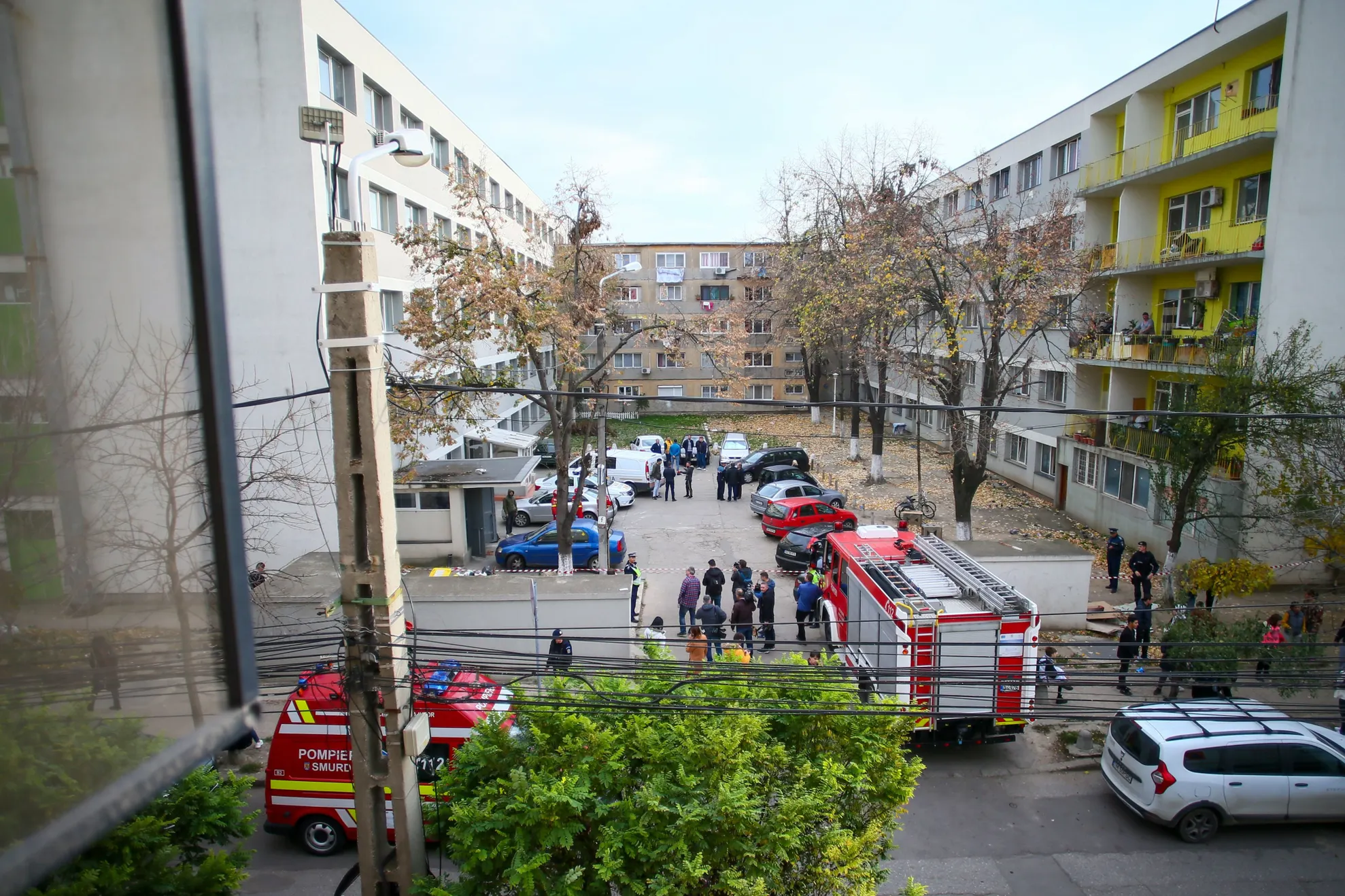 STS intervine în scandalul deratizării criminale de la Timișoara