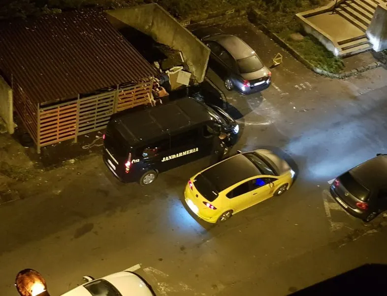 Autoritățile, în alertă! Urși printre mașini, în Brașov(Video)
