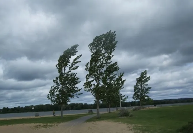 Informare meteo vânt