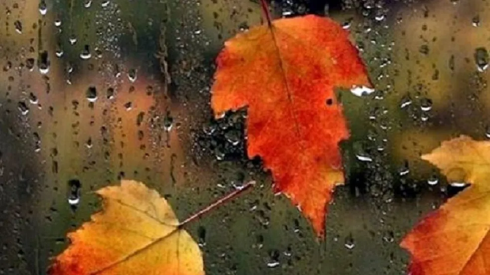 O nouă avertizare de la Meteo! Ploi în in toată țara și vânt puternic