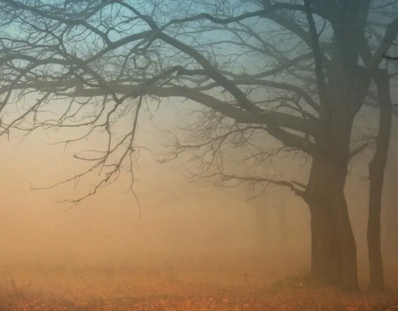 Veste incredibilă de la meteo: Cum va fi vremea duminică, de alegerile prezidențiale 2019? 