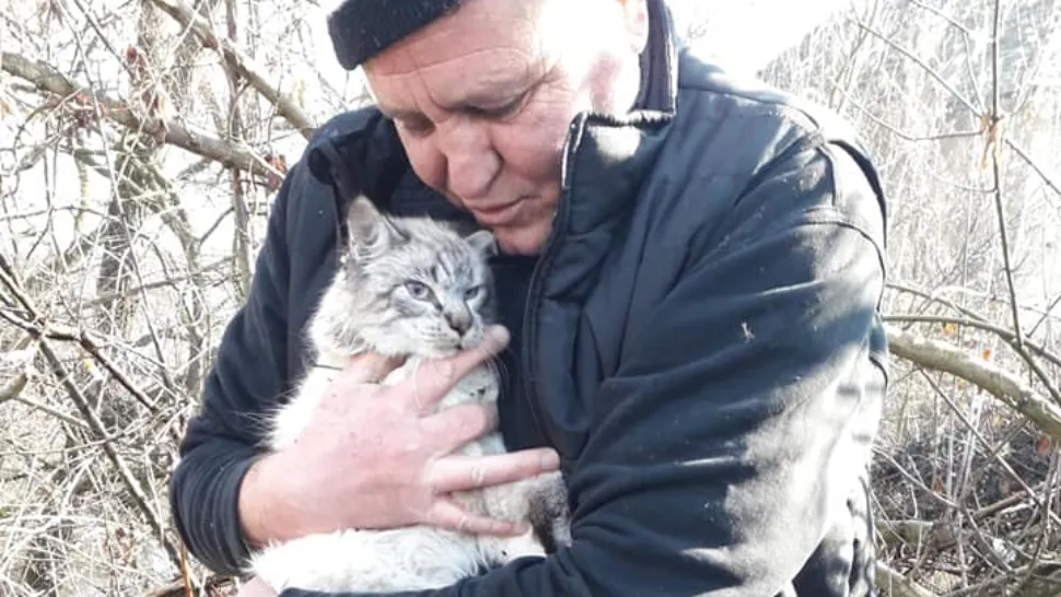 Pompierii militari ISU Sibiu, cursă contra-cronometru pentru salvarea unei pisicuțe