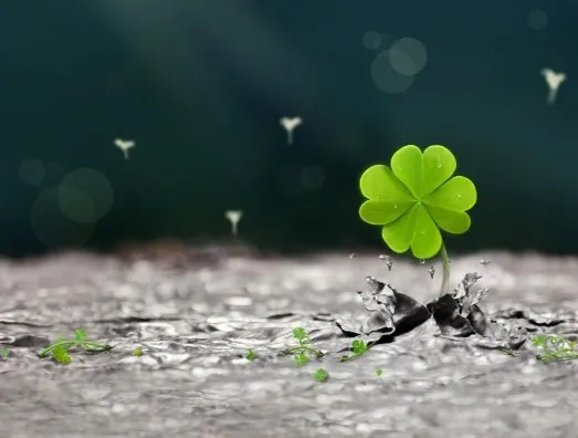Horoscop 10 decembrie. Zodia care trage lozul câștigător! Nimic nu-i mai stă în cale acum