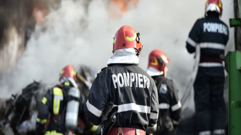 Incendiu de proporții în Buzău. Sute de animale au murit