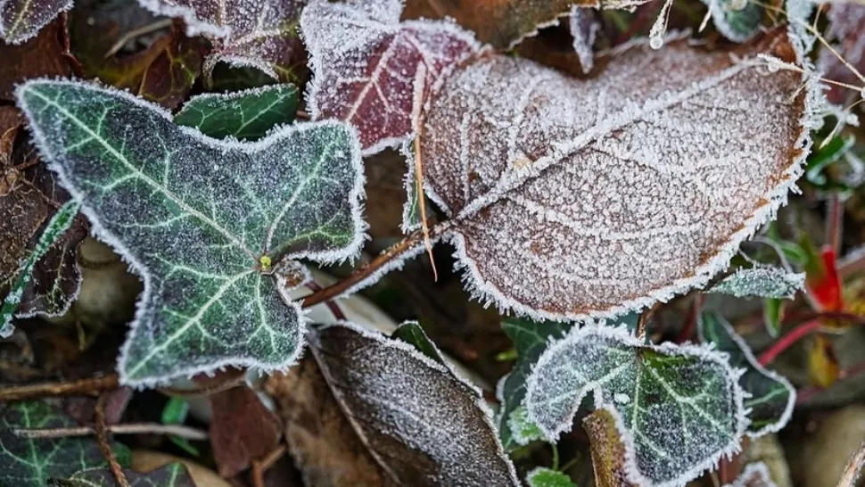 ALERTĂ METEO. Meteorologii au emis cod GALBEN de fenomene severe