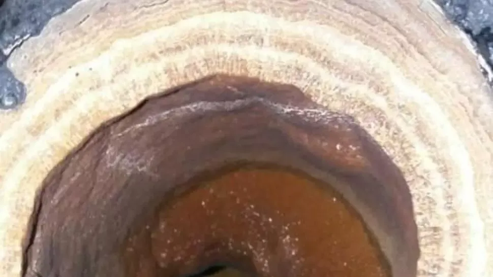 Conducta