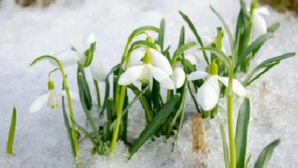Prognoza meteo pe o lună. Schimbări RADICALE: cum va fi vremea până pe 2 martie