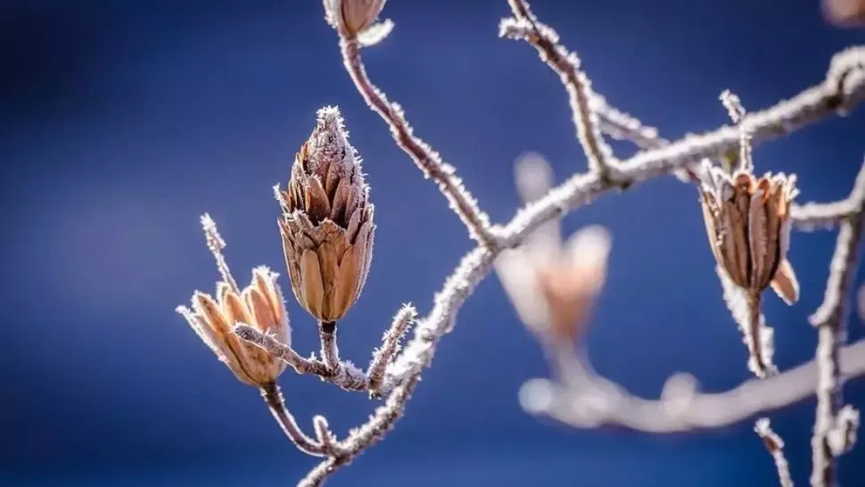 ALERTĂ METEO. Meteorologii au emis un nou cod GALBEN de fenomene severe