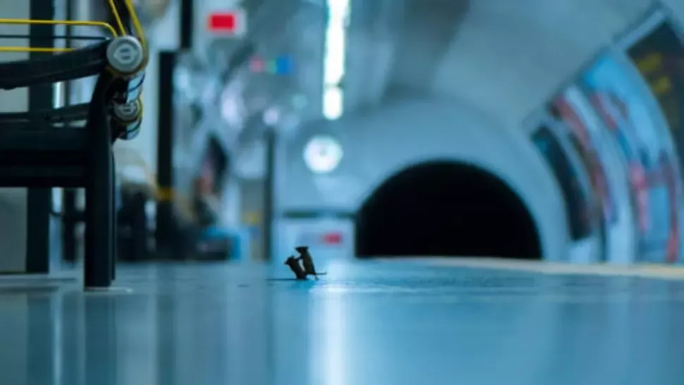 Încăierare la metrou
