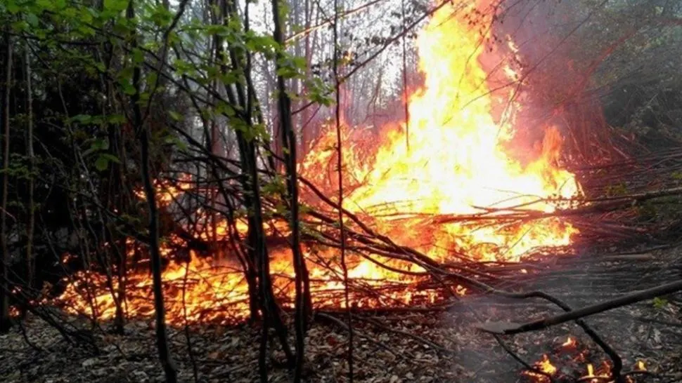 Incendiile au pus stăpânire în țară. Mai multe județe sunt în pericol