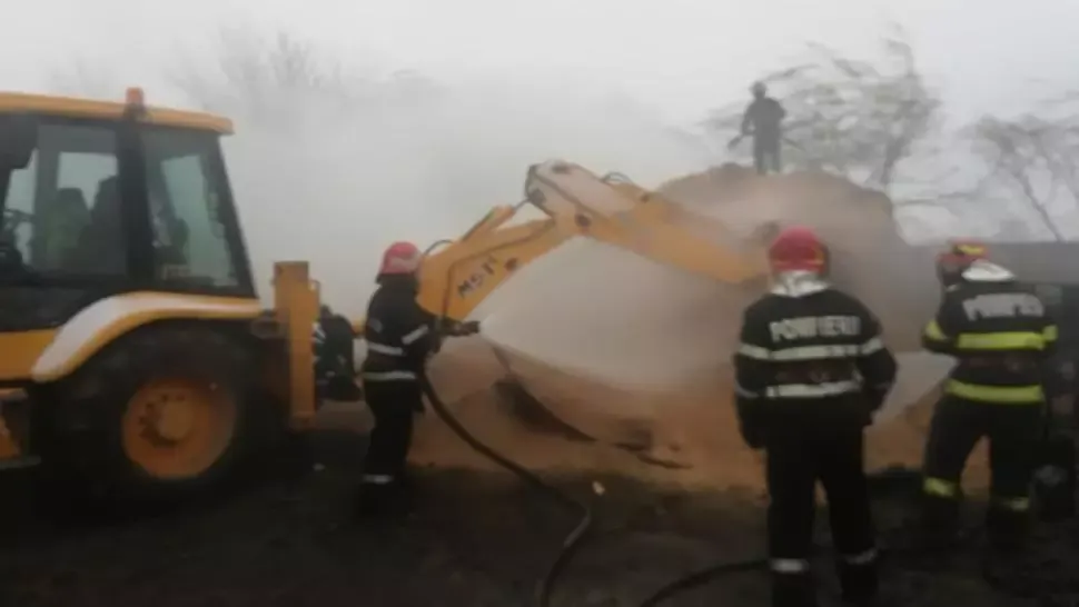 O fabrică de peleți și un adăpost de animale, cuprinse de flăcări. Au murit 24 de porci