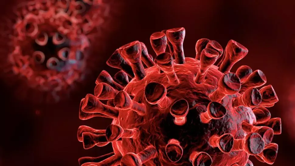 coronavirus