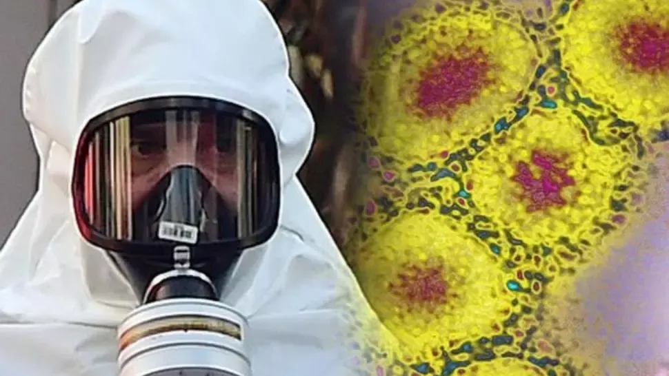 covasna coronavirus