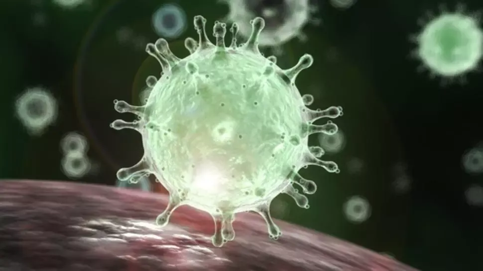 Ghid pentru pacienții vindecați de coronavirus